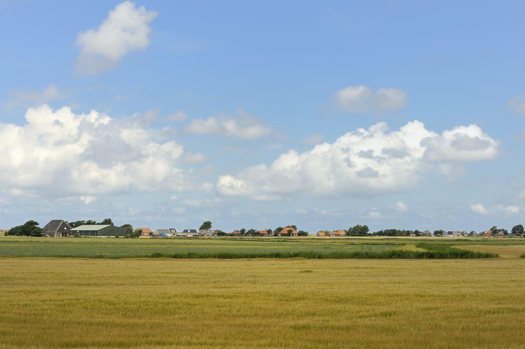 Beach-Dijkvilla Seaview Horizons Makkum Quarto foto
