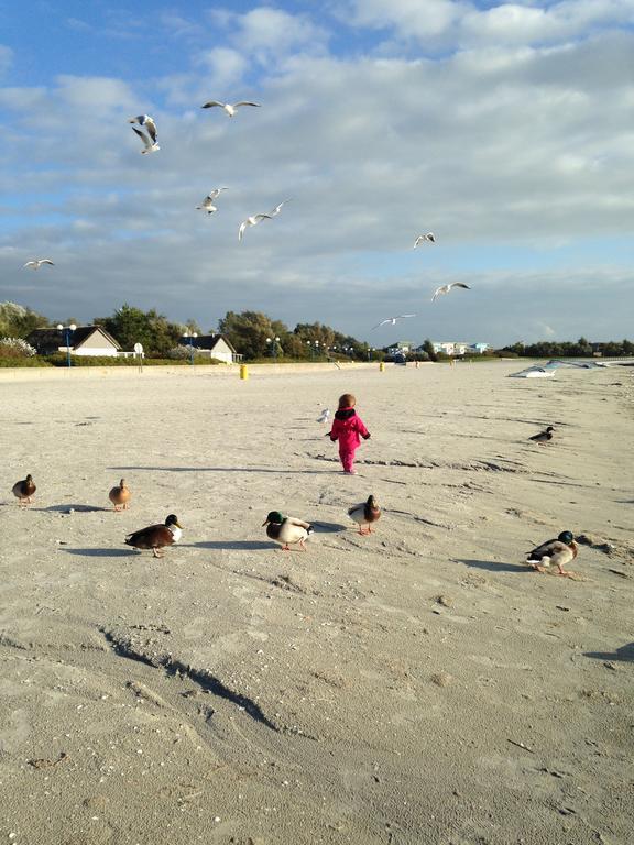 Beach-Dijkvilla Seaview Horizons Makkum Quarto foto